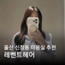 월드헤어클리닉 | 울산 신정동 미용실 레벤트헤어 클리닉 잘하는곳 달라진 머릿결 후기
