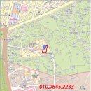 세종로113번길 이미지