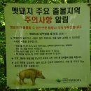 백천 이미지
