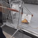 베스트 드림마트 이미지