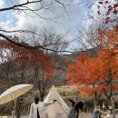 예그리나민박 이미지