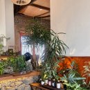 애월이막 이미지