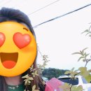 가연농장 이미지