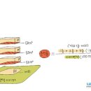 대지 행정사 이미지