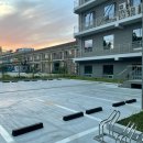 프찌 | 천안 두정동 애견카페 : 프찌 다녀온 후기