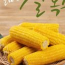 엘그린 이미지