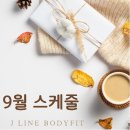제이라인바디핏바른자세운동 이미지