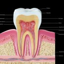 둔산북로 이미지