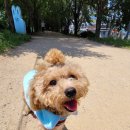 금호강변로 이미지