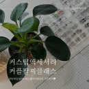 스튜디오더베이지 이미지