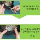 다모위그 - 서산시 남문2로 92 | 다모위그