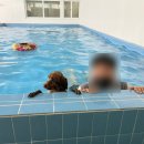 펫밀리즈 이미지