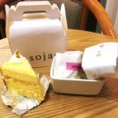 sojae( 소재 ) 이미지