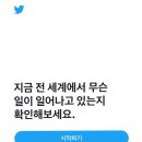 비와이 주식회사 | 트위터 리뷰 : 멍충해보이고 예쁜 포쉐뜨 애착인형 ^^