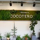 코코테로 이미지