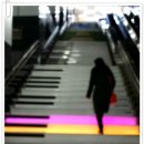 인천 승마장 이미지