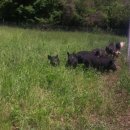 정영호농장 이미지