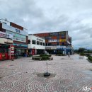 정원참치 이미지