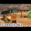 여행후 견사에서 이미지