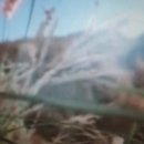 우산쓴고양이 이미지