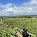 (유)태양렌트카 이미지