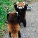 색연필드로잉 이미지