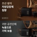 침향부부한의원 | 공진단 효능, 제대로 알고 먹자! 이런 분들께 공진단이 꼭 필요한 이유