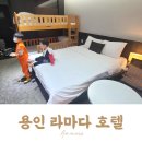 헬로퍼피 농장 | 에버랜드 숙소, 라마다 용인 호텔! 이층침대가 있는 디럭스 쿼드룸 (크리스마스 산타 이벤트)