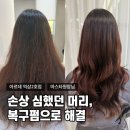 삼풍빌딩 | 서울강남복구펌 잘하는 곳｜아데르 역삼2호점 마스타 원장 복구펌 후기