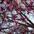 수정산가족체육공원 3(주차장) 이미지