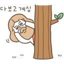 더세움 이미지