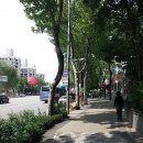 까치세탁소 이미지