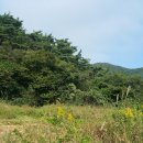 사랑감(용사만회)마을 이미지