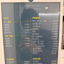 채인디자인