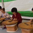 고분양태 이미지