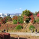 남산공원 이미지