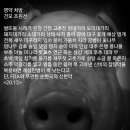 대구인삼영지