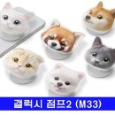 멍냥이 스토리 이미지