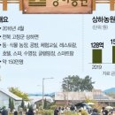 발효코리아 이미지