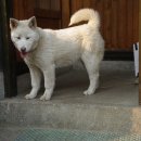 남매농장 이미지