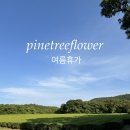파인트리플라워 이미지