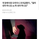 키우던 개 장례식 조의금, '낸다 vs 안낸다' 이미지