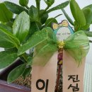 둔포 우리약국 이미지