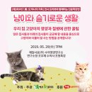 펫갤러리 이미지