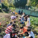 숲속애어린이집 이미지