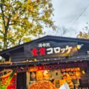 EG투어버스 C코스 | 후쿠오카 버스투어 추천 유후인 벳부 다자이후 여행 코스