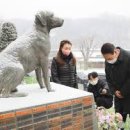 강아지 동상에 인사?… 윤석열 "안내견, 반려견과 달라" 이미지