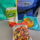 인도 라다크 레 가는 방법 델리 레 에어인디아 인디고 항공 인도 국내선 후기 (산사태로 일정 변경)