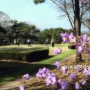 한양골프 이미지
