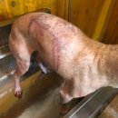 아는수의사 동물병원 이미지